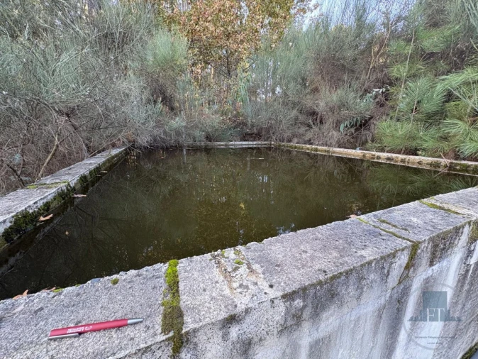 Quinta T5 para Venda em Gestaço Foto 29