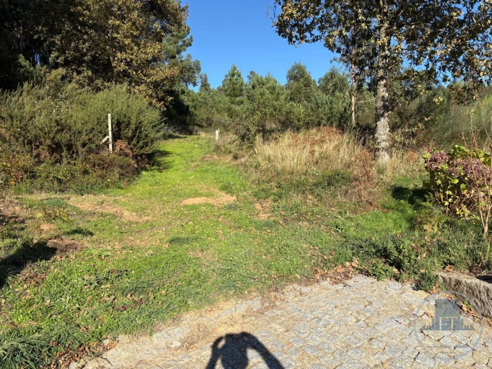 Quinta T5 para Venda em Gestaço Foto 28