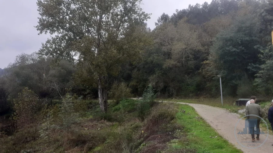 Quinta T4 para Venda em Fregim Foto 6