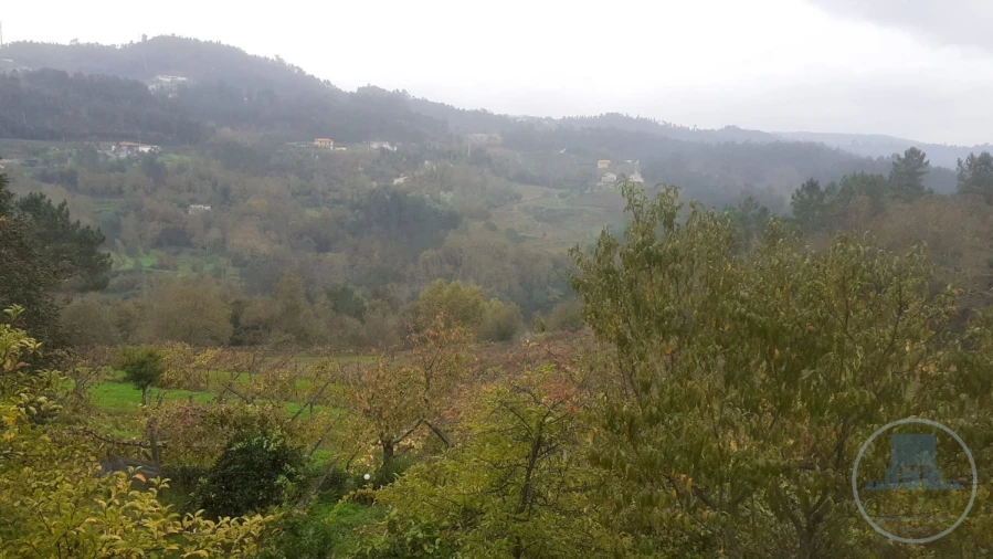 Quinta T4 para Venda em Fregim Foto 8