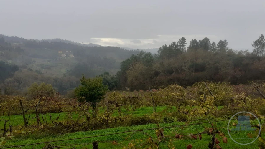 Quinta T4 para Venda em Fregim Foto 7