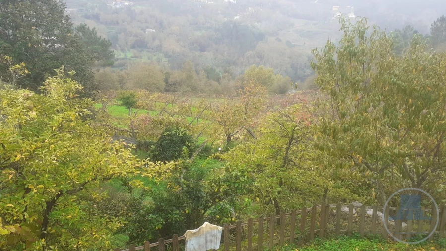 Quinta T4 para Venda em Fregim Foto 17