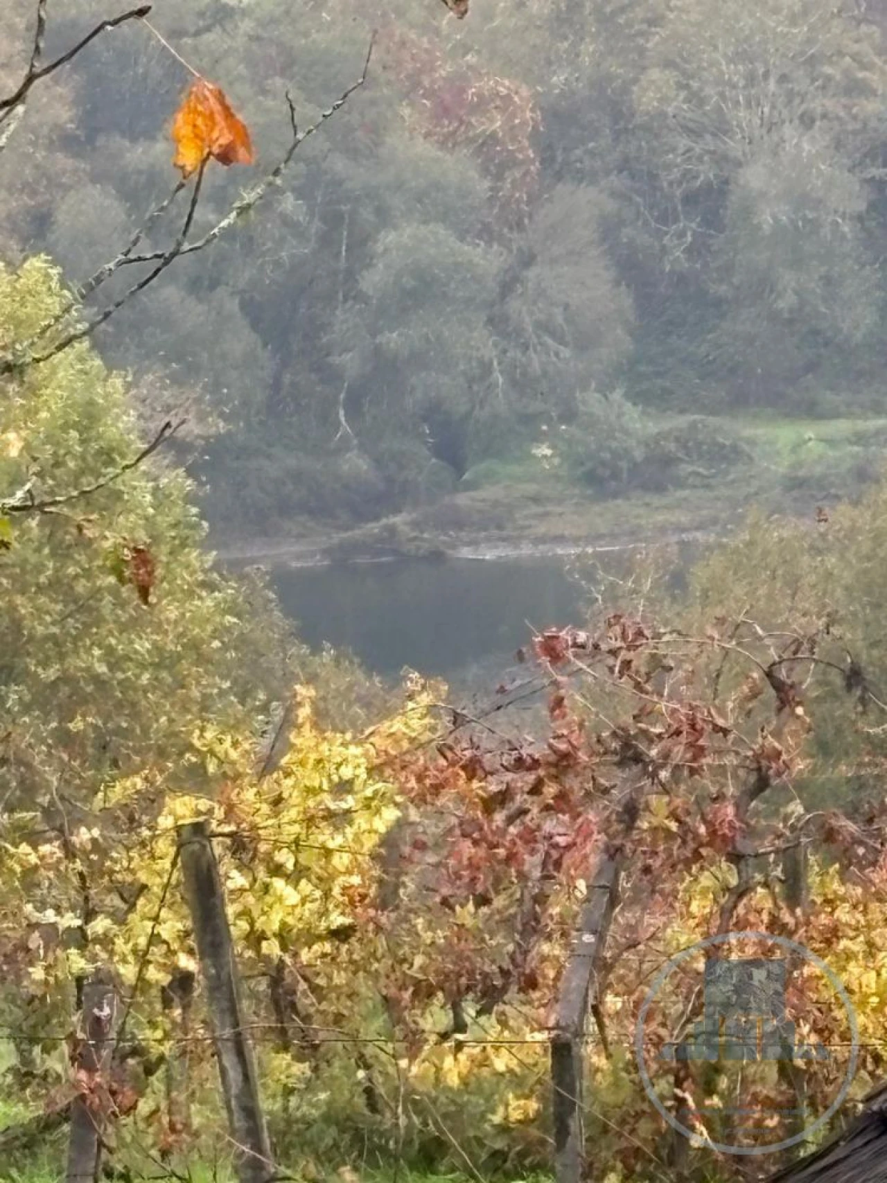 Quinta T4 para Venda em Fregim Foto 3