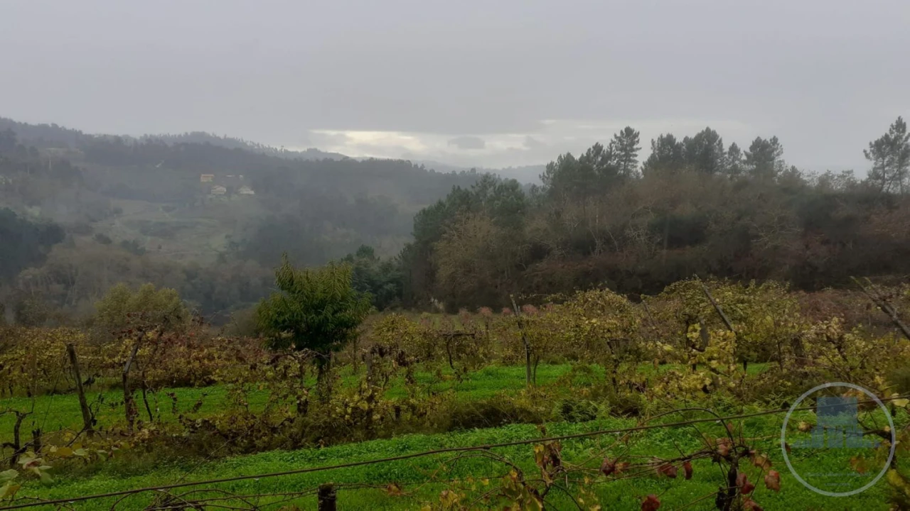 Quinta T4 para Venda em Fregim Foto 7