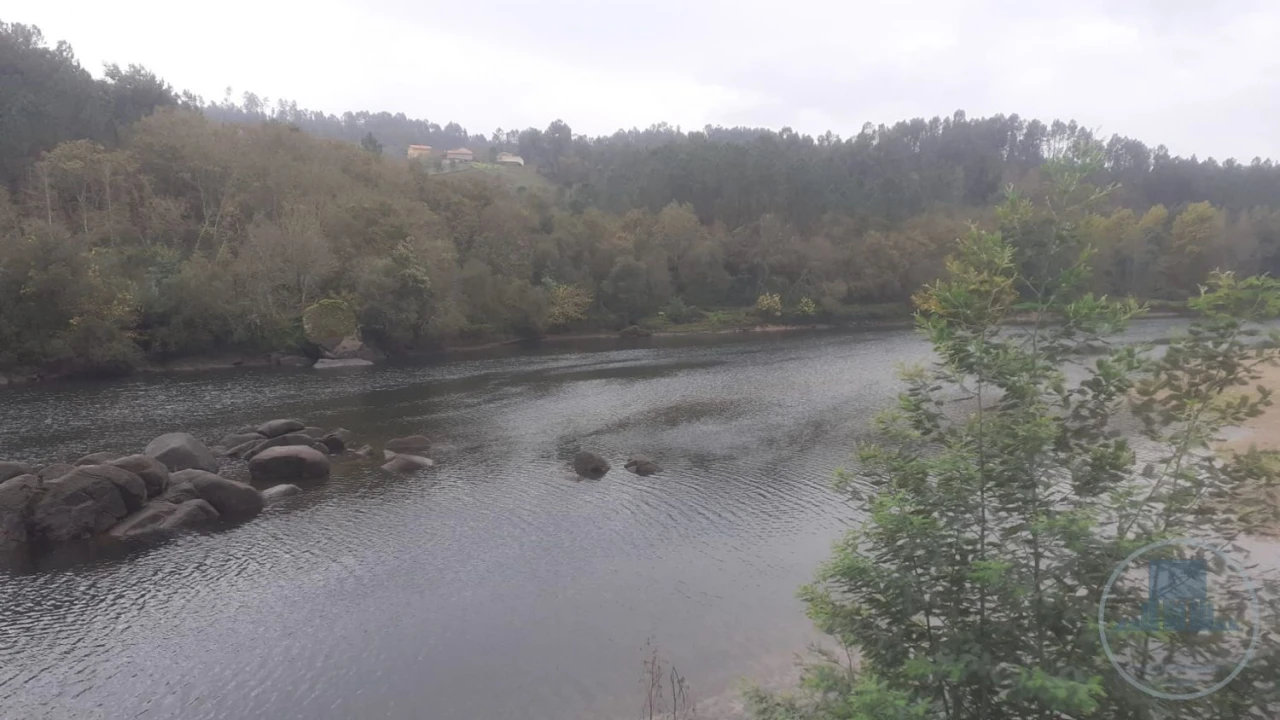 Quinta T4 para Venda em Fregim Foto 4