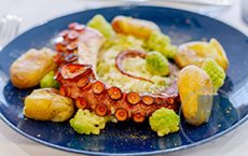 Loja para Venda em Glória e Vera Cruz Foto 15