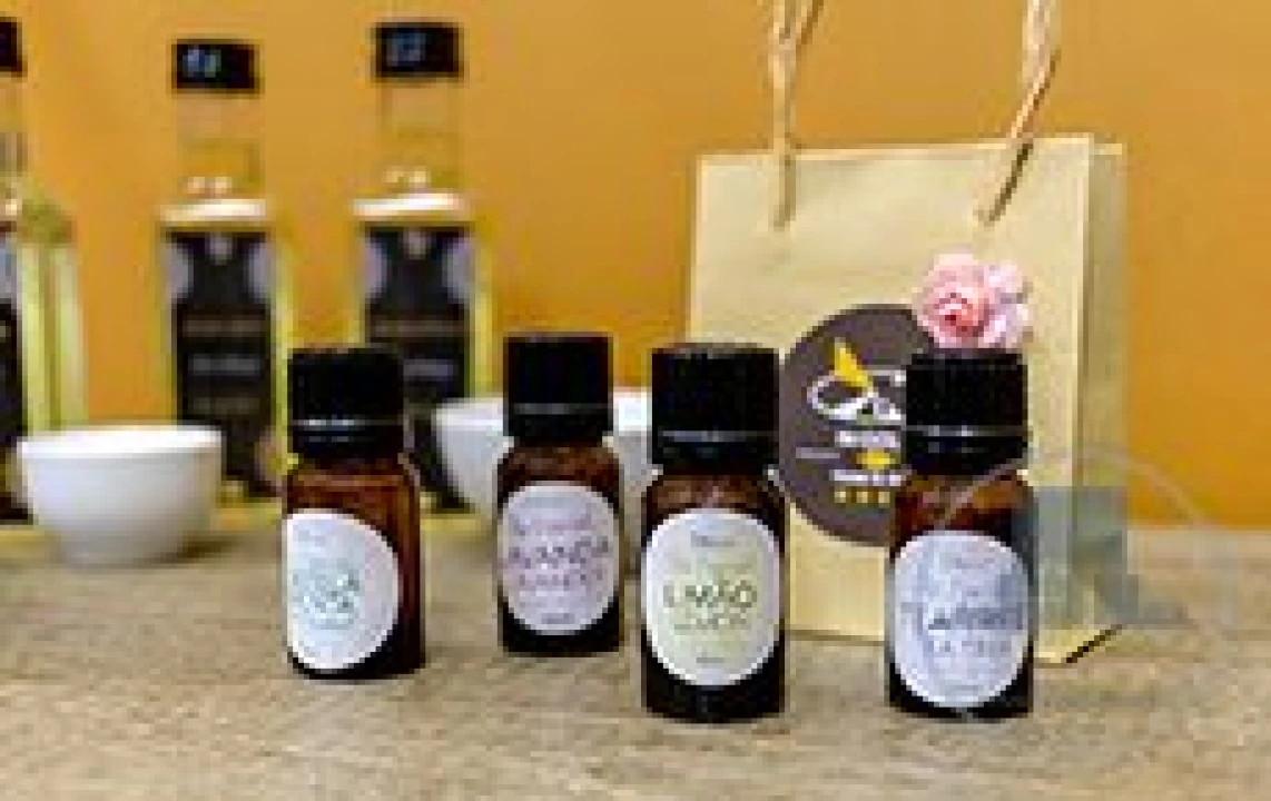 Loja para Venda em Glória e Vera Cruz Foto 19