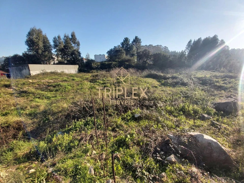 Terreno para Venda em Aguas Santas Foto 9