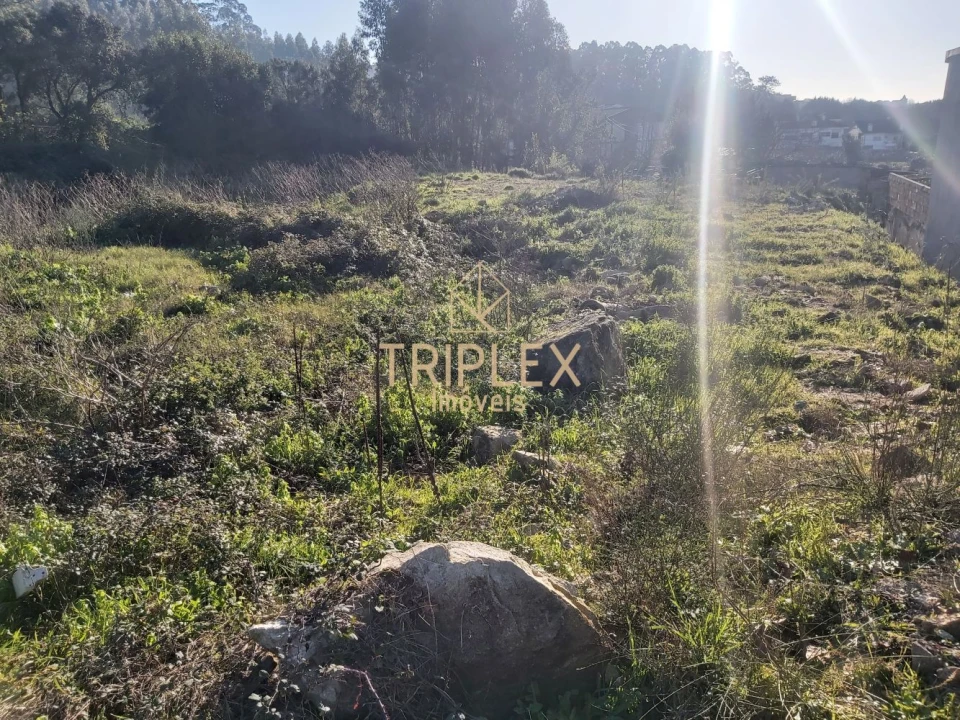 Terreno para Venda em Aguas Santas Foto 8