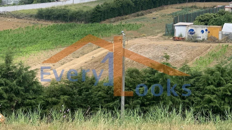 Terreno para Venda em Serra D'El-Rei Foto 6