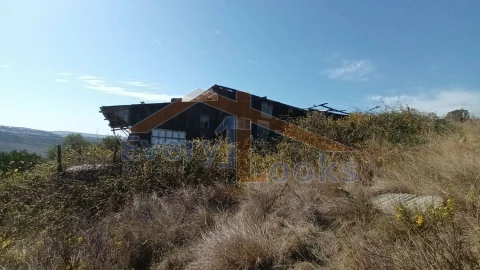 Terreno para Venda em São João das Lampas e Terrugem
