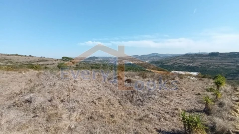 Terreno para Venda em São João das Lampas e Terrugem