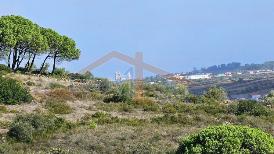 Terreno para Venda em São João das Lampas e Terrugem Foto 5