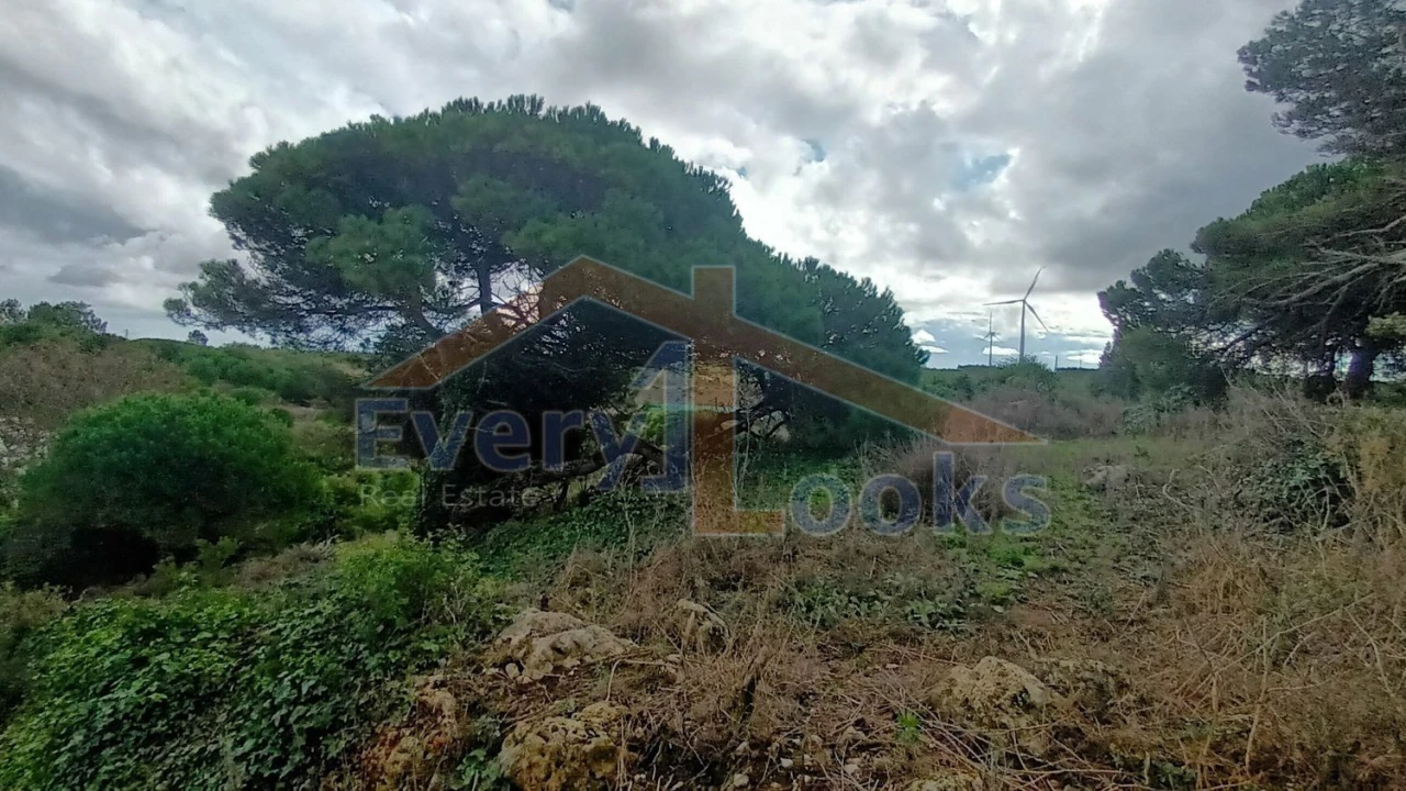 Terreno para Venda em Serra D'El-Rei Foto 5