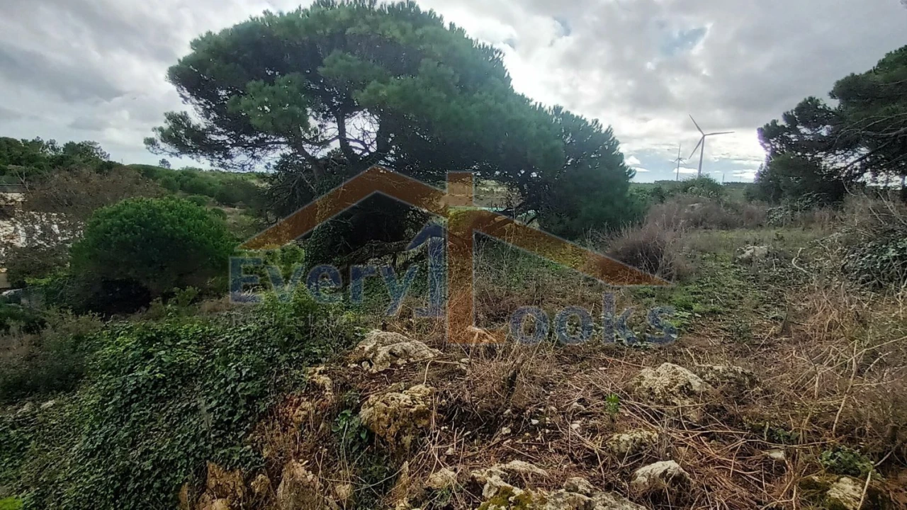 Terreno para Venda em Serra D'El-Rei Foto 9