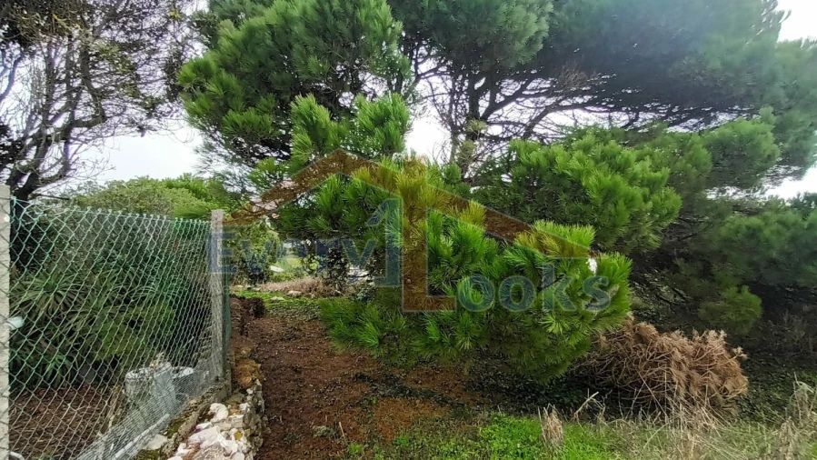 Terreno para Venda em Serra D'El-Rei Foto 11