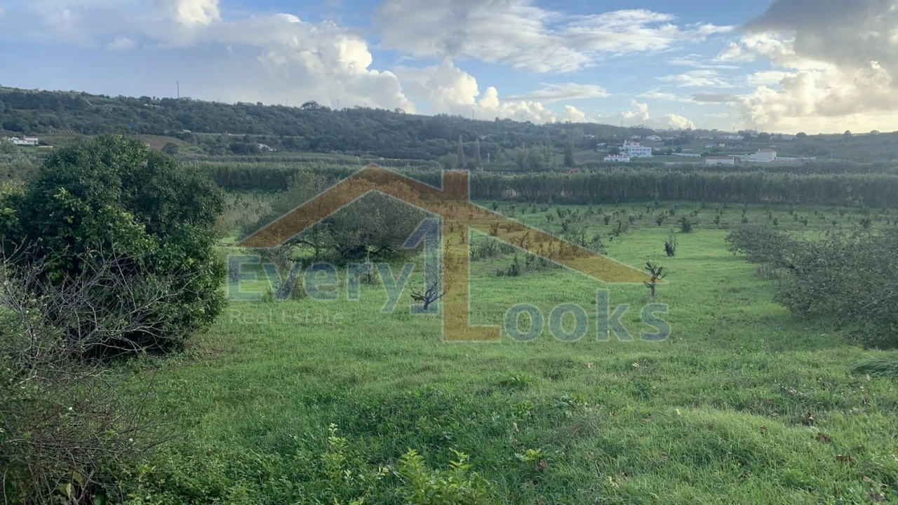 Terreno para Venda em Santa Maria, São Pedro e Sobral da Lagoa Foto 4