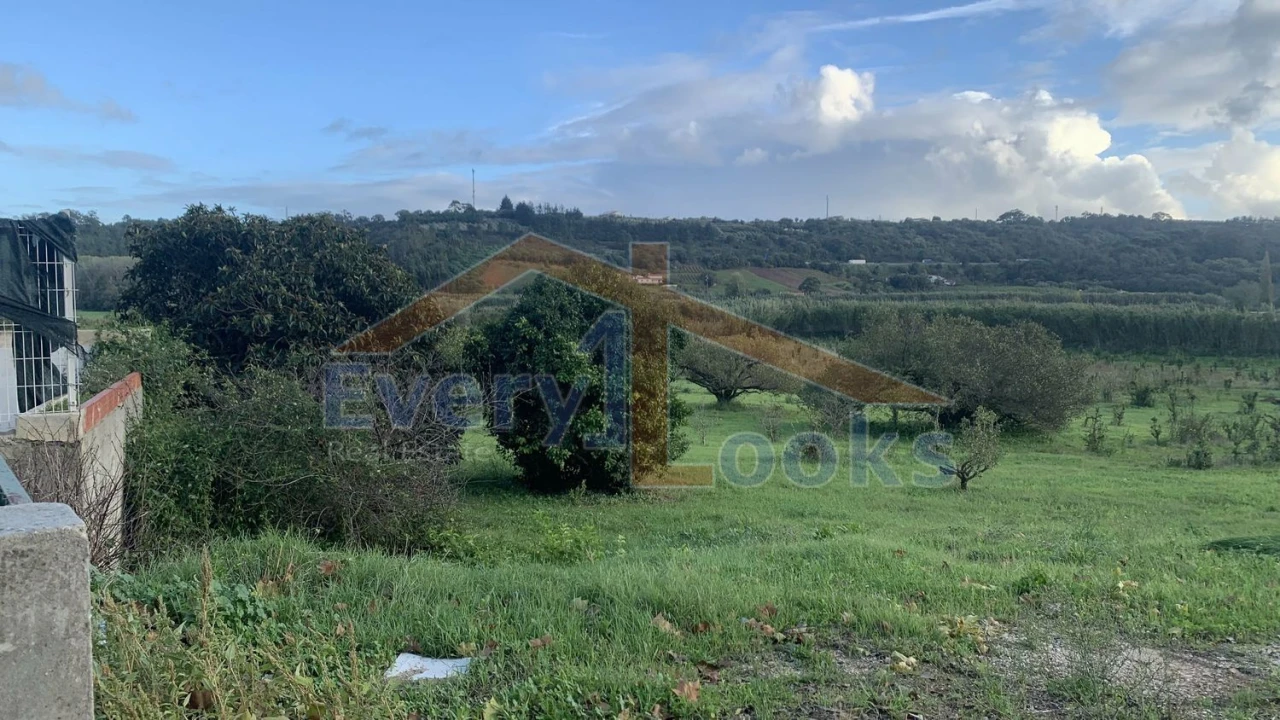 Terreno para Venda em Santa Maria, São Pedro e Sobral da Lagoa Foto 5