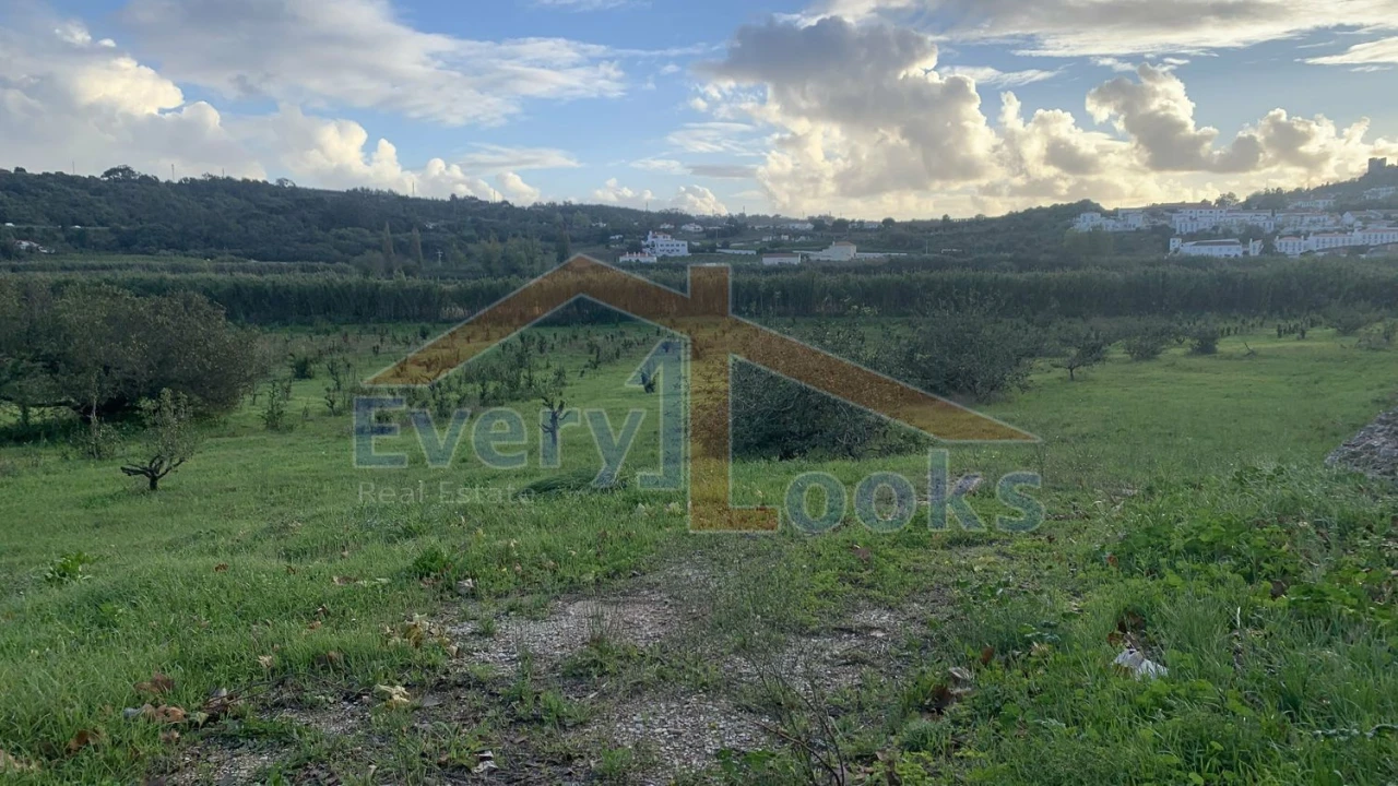 Terreno para Venda em Santa Maria, São Pedro e Sobral da Lagoa Foto 8