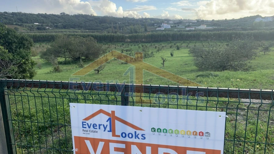 Terreno para Venda em Santa Maria, São Pedro e Sobral da Lagoa Foto 2