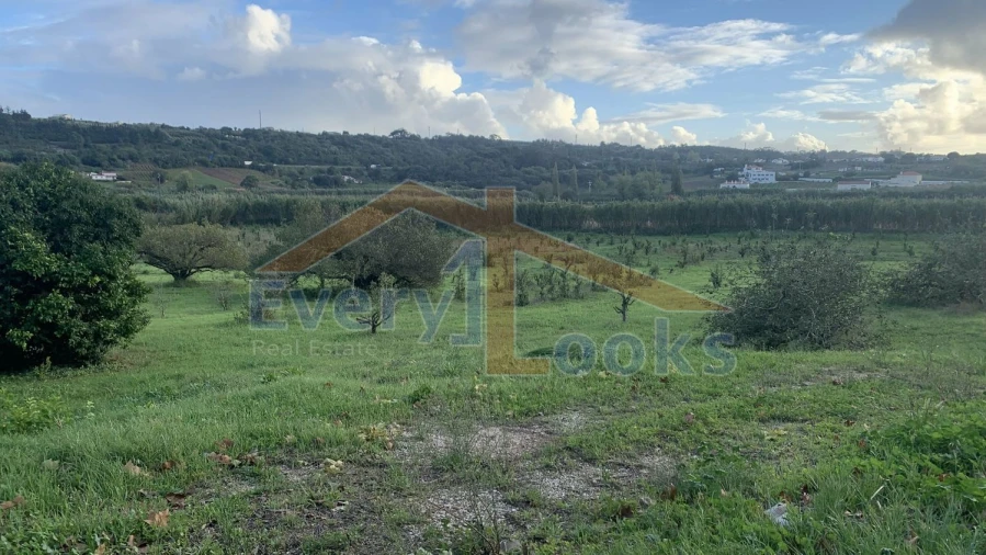 Terreno para Venda em Santa Maria, São Pedro e Sobral da Lagoa Foto 6