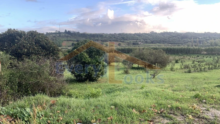Terreno para Venda em Santa Maria, São Pedro e Sobral da Lagoa Foto 9