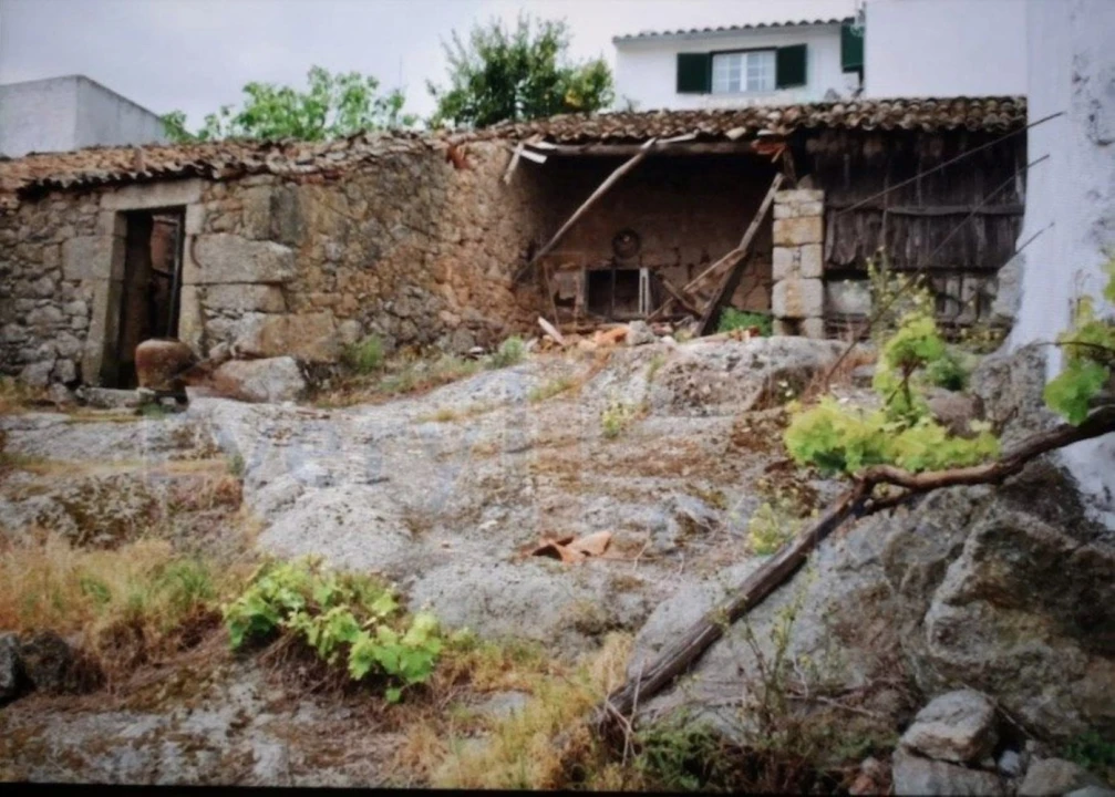 Terreno para Venda em Monsanto e Idanha-A-Velha Foto 1