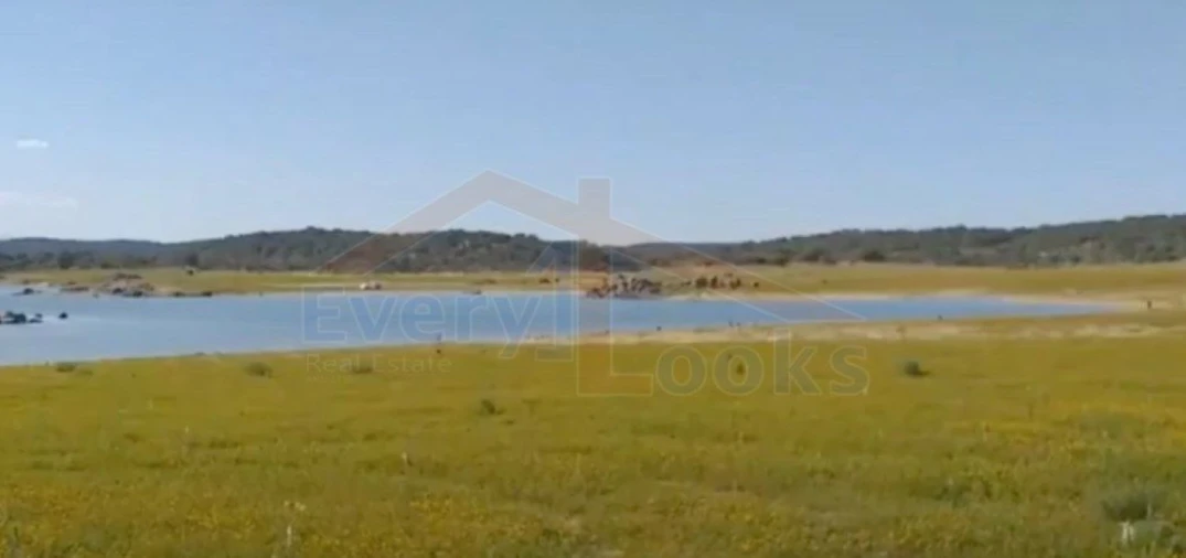 Terreno para Venda em Monsanto e Idanha-A-Velha Foto 9