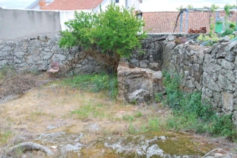 Terreno para Venda em Monsanto e Idanha-A-Velha Foto 3