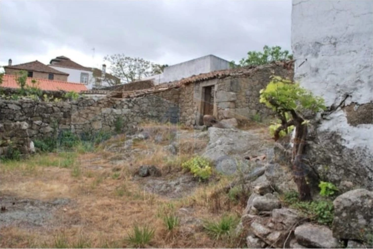 Terreno para Venda em Monsanto e Idanha-A-Velha Foto 5