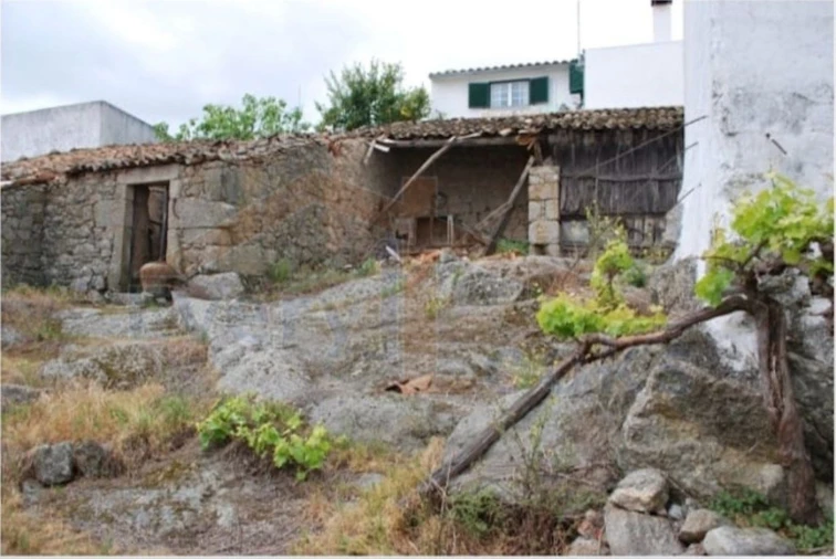 Terreno para Venda em Monsanto e Idanha-A-Velha Foto 6