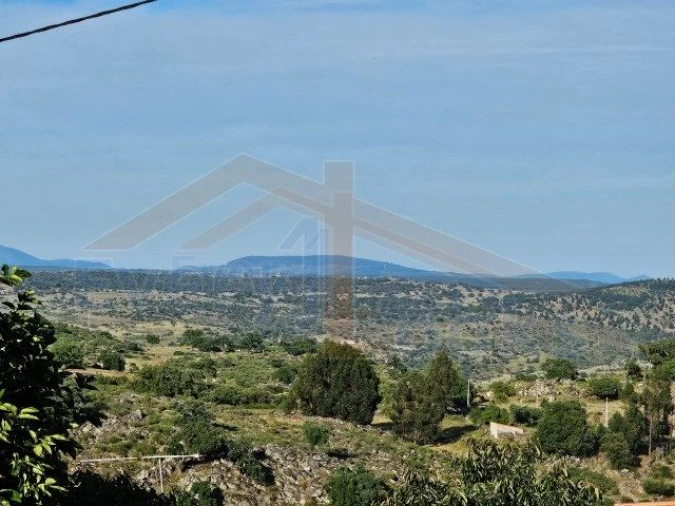 Terreno para Venda em Monsanto e Idanha-A-Velha Foto 13