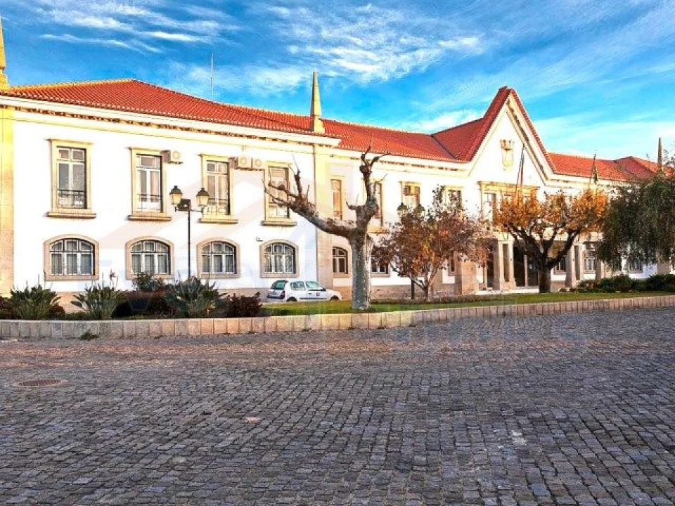 Terreno para Venda em Monsanto e Idanha-A-Velha Foto 16