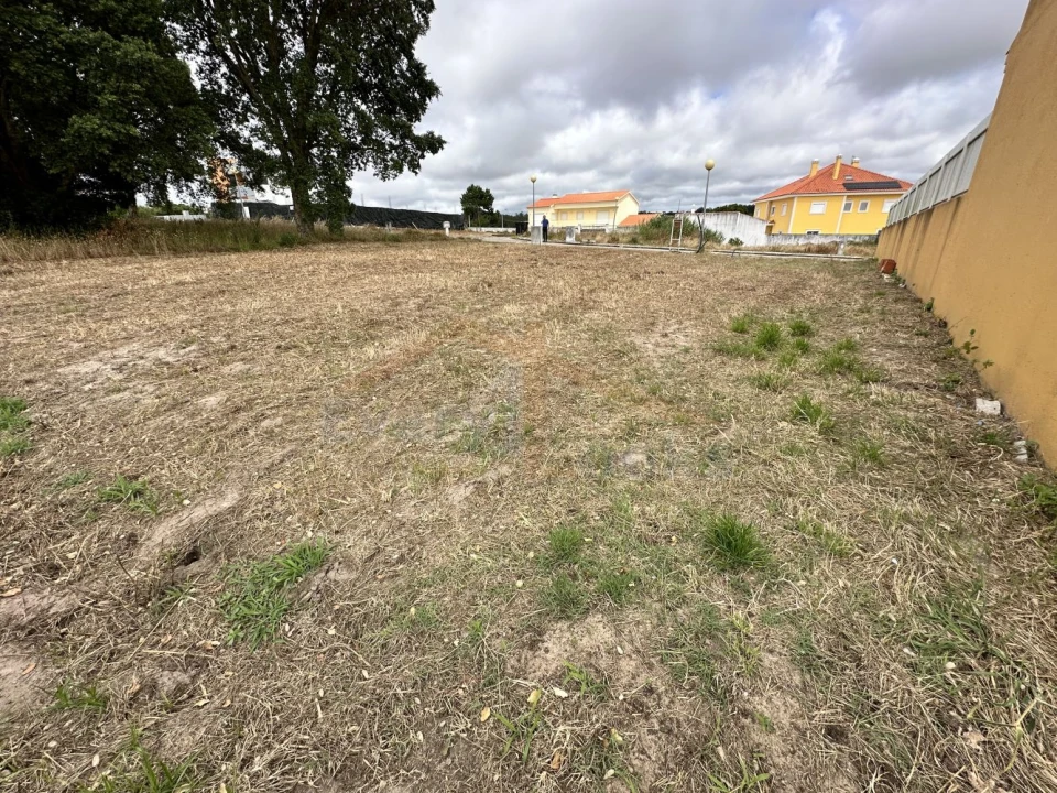 Terreno para Venda em Nadadouro Foto 8