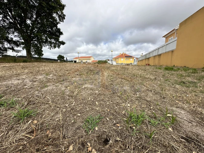 Terreno para Venda em Nadadouro Foto 7