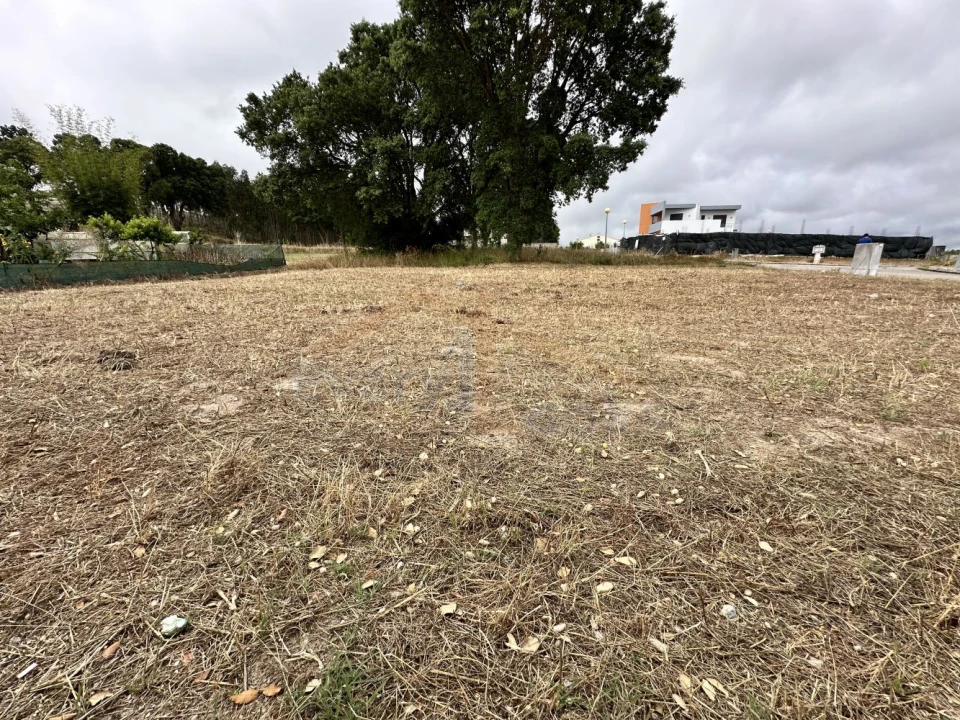 Terreno para Venda em Nadadouro Foto 5