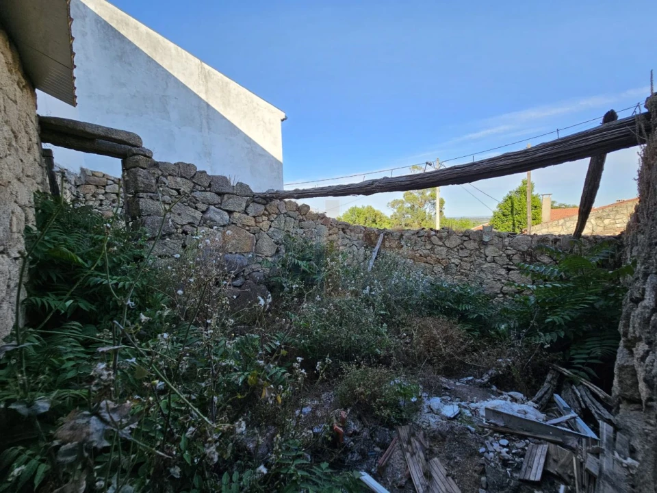 Terreno para Venda em Idanha-A-Nova e Alcafozes Foto 6