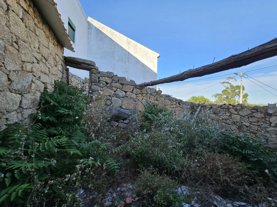 Terreno para Venda em Idanha-A-Nova e Alcafozes Foto 10