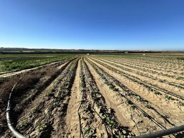 Terreno para Venda em Atouguia da Baleia