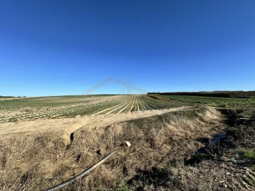 Terreno para Venda em Atouguia da Baleia