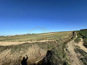Terreno para Venda em Atouguia da Baleia