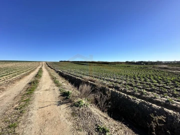 Terreno para Venda em Atouguia da Baleia