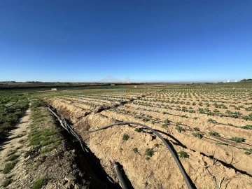 Terreno para Venda em Atouguia da Baleia