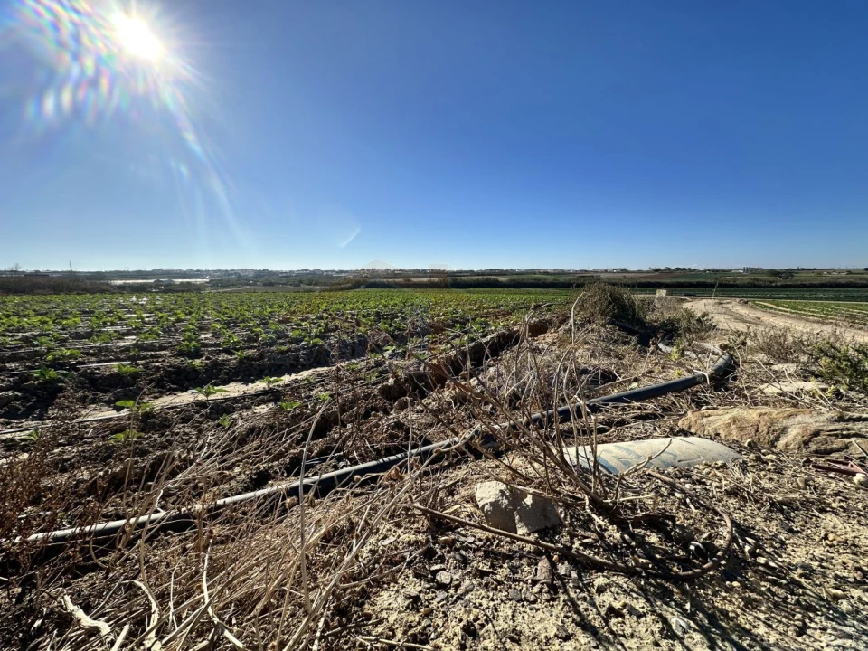 Terreno para Venda em Atouguia da Baleia Foto 13