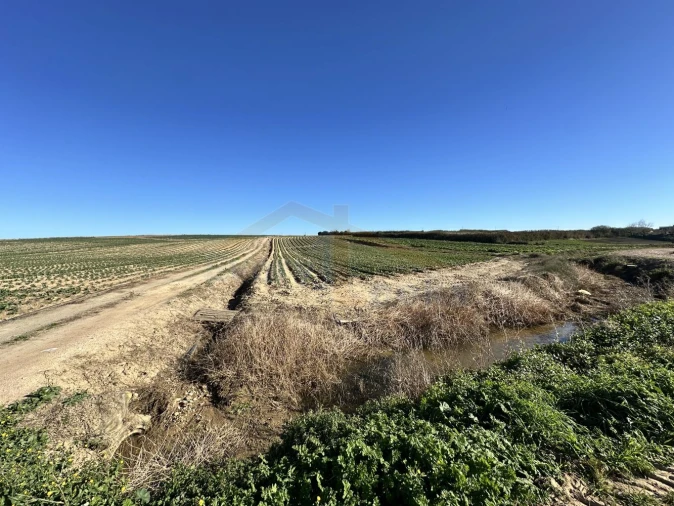 Terreno para Venda em Atouguia da Baleia Foto 3