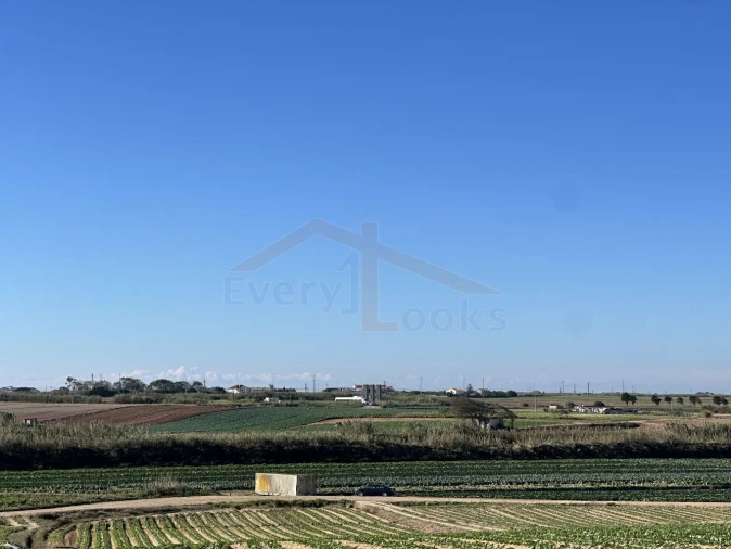 Terreno para Venda em Atouguia da Baleia Foto 9