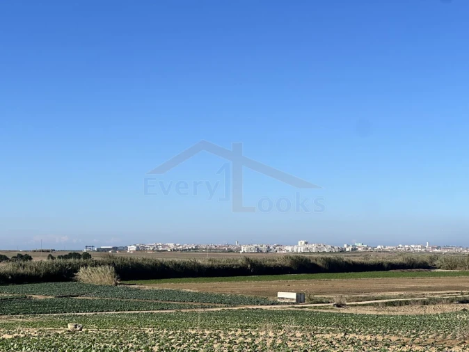 Terreno para Venda em Atouguia da Baleia Foto 8