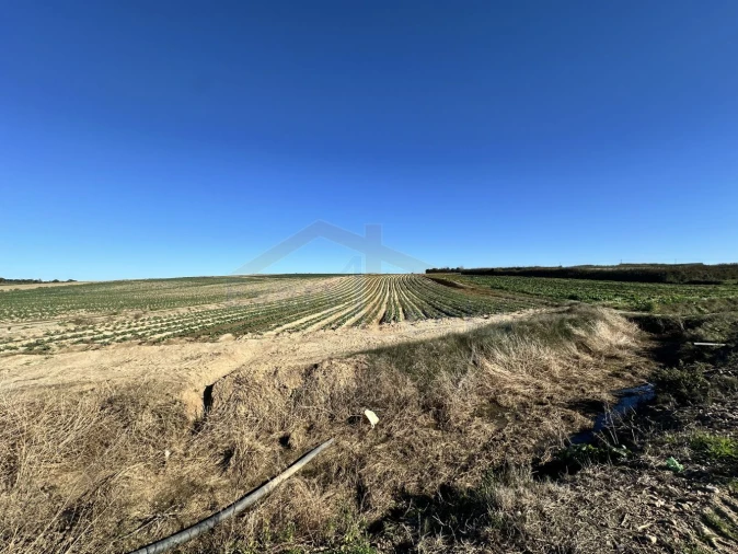 Terreno para Venda em Atouguia da Baleia Foto 4