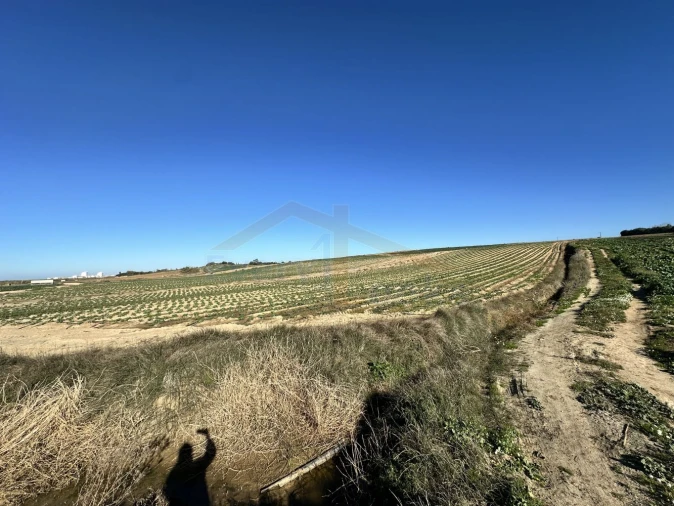 Terreno para Venda em Atouguia da Baleia Foto 5