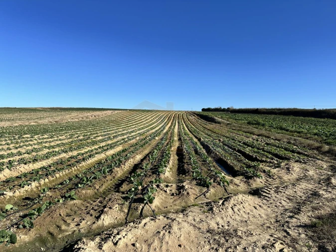 Terreno para Venda em Atouguia da Baleia Foto 18